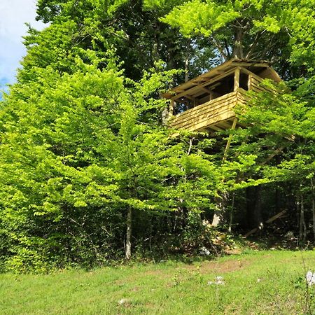 Apartments Matovina Saborsko Dış mekan fotoğraf