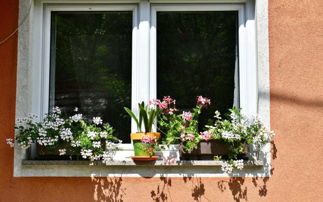 Apartments Matovina Saborsko Dış mekan fotoğraf