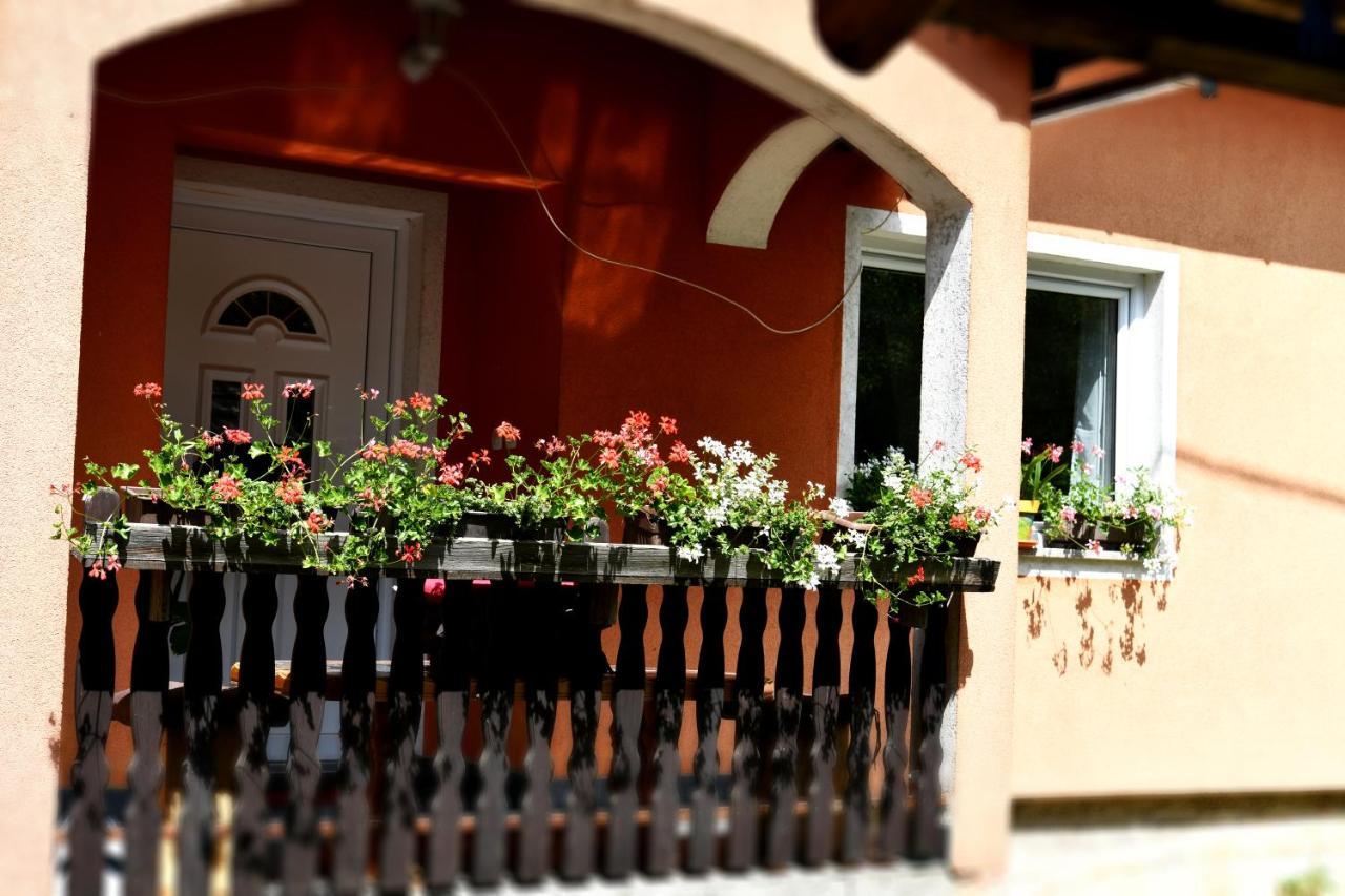 Apartments Matovina Saborsko Dış mekan fotoğraf